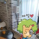 유진전기조명 이미지