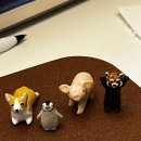 홍일반점 | 금방 지나간 6월 일상