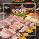 동성로 삼겹살 맛집 용삼식당 다양한 사이드와 커스터마이징 해 먹는 재미가 있는 파도살 세트