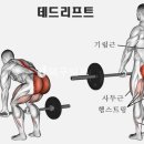 중앙해수랜드 이미지