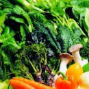 황제쑥뜸 이미지