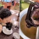 메디크린 이미지