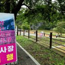 녹두밭빈대떡 | 가을축제 10월축제 동강붉은메밀꽃축제 후기 코스모스밭 실물 영접│영월가을여행