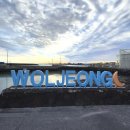 해안길 | 김녕해변–월정리–코난해변 해안길 10km 달리기 후기 (가민 데이터/페이스/심박수 분석)