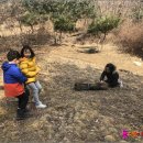 자연속으로 이미지