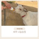예정농장 | 파주 ‘나눔농장’ 동물먹이주기체험 아이랑 가볼만한 곳