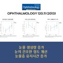 안구학 이미지