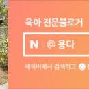 하가로트리 이미지