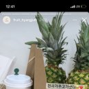 굿모닝청과 이미지