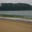 (주)진바이오텍 이미지