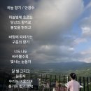 하늘향기 이미지