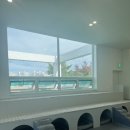 카르펫디엠 강아지유치원 이미지