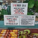 좋은계란할인점연수