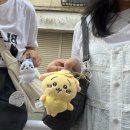 연서2발전소 | 【도쿄 여행/ 3박 4일】 한국 나를 낳으시고 일본 나를 기르셨네。