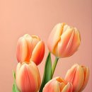 파란망고 이미지