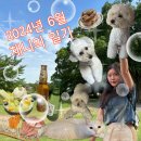 우산월곡시장 | 2024년 6월 채니의 일기