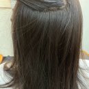 일산 후곡 미용실 추천 빗질 어려운 머리 RC-2 손상모클리닉 후기 | 뮤트헤어