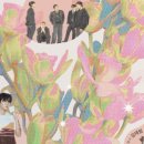 2024년 11월 공연 이미지