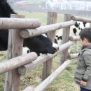 승아목장 이미지