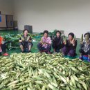 공동농장 이미지