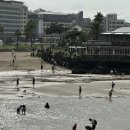 김주목장 이미지