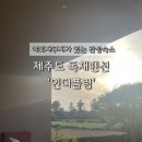 인더플럼 이미지