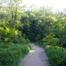 개화산 자락길 이미지