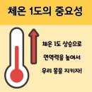 톡톡 체온다이어트