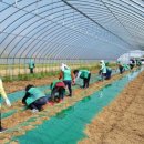 김용대농장 이미지