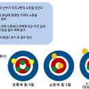 컬링 점수계산법 모르시겠는분 컴온 이미지