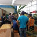 이운영농장 이미지