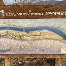 영롱이갈대야구장 옆 제방 | 부산 삼락생태공원 후기 분위기 있는 휴식 피크닉 ft. 주차장