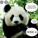 러키비키 노래연습장 | [2025년 일상] 가을과 겨울사이 일상기록 🧡💛