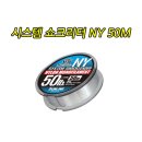 NY시스템 이미지