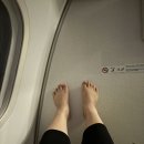 킬리만자로 | 탄자니아 신혼여행, 에티오피아 항공 아디스아바바, 잔지바르, 킬리만자로 탑승 후기! (좌석지정 꿀팁)