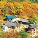 경북 경산시 - 12개 대학, 역동적인 젊음의 도시 이미지