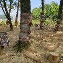 무학어린이공원 이미지