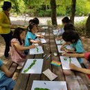 천전초병설유치원 이미지