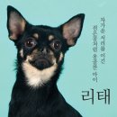 리태 네이버블로그