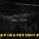 모엠의원 이미지