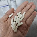 (주)신바이오틱스전문믿을신바이오 | 강아지 설사할때 먹이는 애견 영양제 샤랩 바이오 유산균
