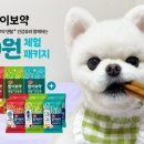 덴탈기획 이미지