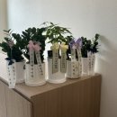 에스오티도수운동치료연구소 | 우장산역 도수치료 고민된다면? 전직원 물리치료사 바른스트레칭 박민지 트레이너님 후기