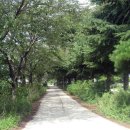 송라초등학교 이미지