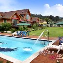 팝콘하우스 이미지