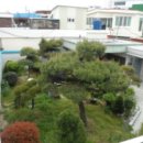 회원동132 이미지