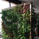 수직의 정원 이미지