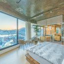 슈가몽 544 이미지