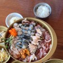 속초 맛집 추천｜내돈내산으로 다녀온 솔직 후기