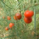 상순농장 이미지